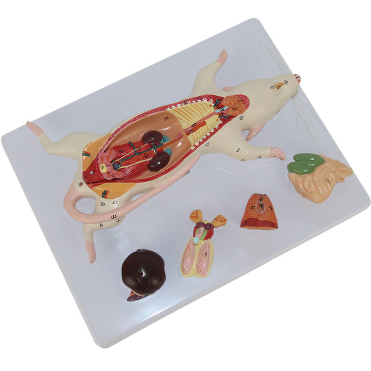 98ca25c43524e6f200a2f0db9380d4d8